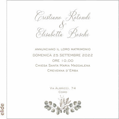 Grafica Elide