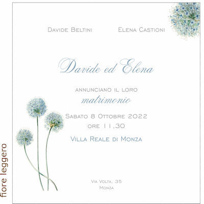 Grafica Fiore Leggero