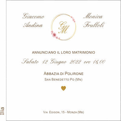 Grafica Ilia