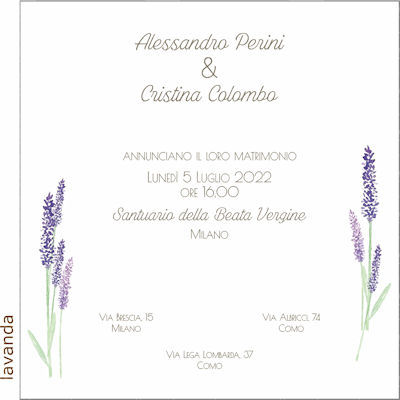 Grafica Lavanda