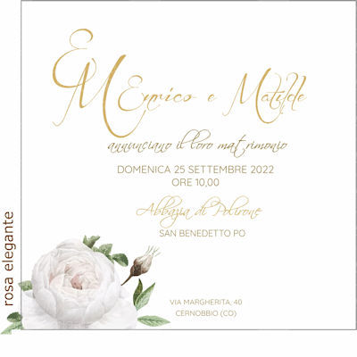Grafica Rosa Elegante