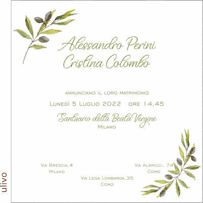 Grafica Ulivo