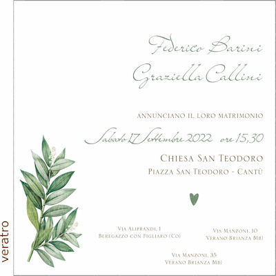 Grafica Veratro