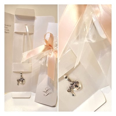 Astuccio Segnalibro Argento